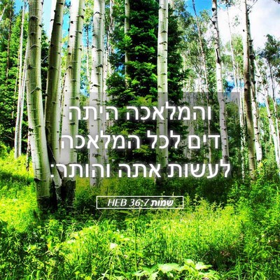 Picture 05 - שמות 36:7 HEB - והמלאכה היתה דים לכל - Bible Verse Picture