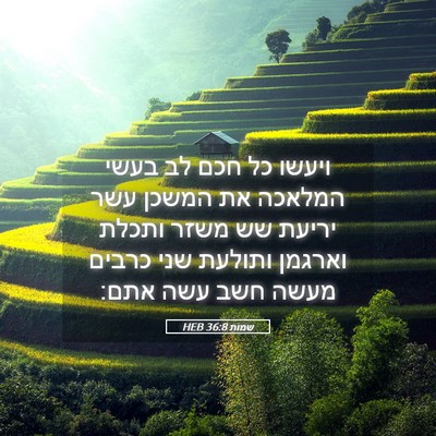 Picture 05 - שמות 36:8 HEB - ויעשו כל חכם לב בעשי המלאכה - Bible Verse Picture