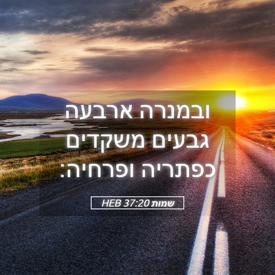 Picture 05 - שמות 37:20 HEB - ובמנרה ארבעה גבעים משקדים - Bible Verse Picture