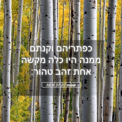 Picture 05 - שמות 37:22 HEB - כפתריהם וקנתם ממנה היו כלה - Bible Verse Picture