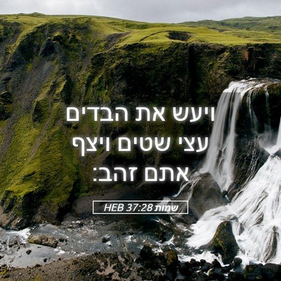Picture 05 - שמות 37:28 HEB - ויעש את הבדים עצי שטים ויצף - Bible Verse Picture