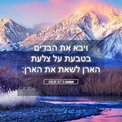 Picture 05 - שמות 37:5 HEB - ויבא את הבדים בטבעת על צלעת - Bible Verse Picture