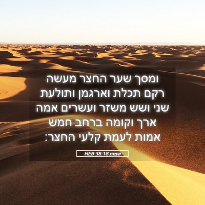 Picture 05 - שמות 38:18 HEB - ומסך שער החצר מעשה רקם תכלת - Bible Verse Picture