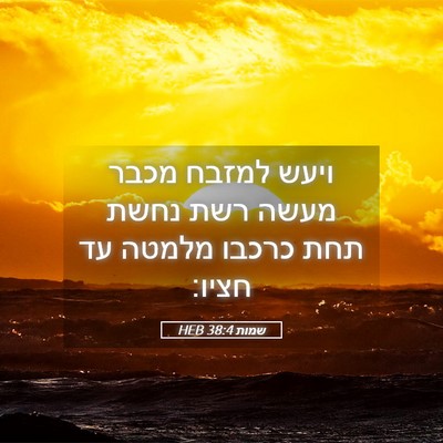 Picture 05 - שמות 38:4 HEB - ויעש למזבח מכבר מעשה רשת - Bible Verse Picture