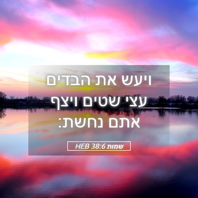 Picture 05 - שמות 38:6 HEB - ויעש את הבדים עצי שטים ויצף - Bible Verse Picture