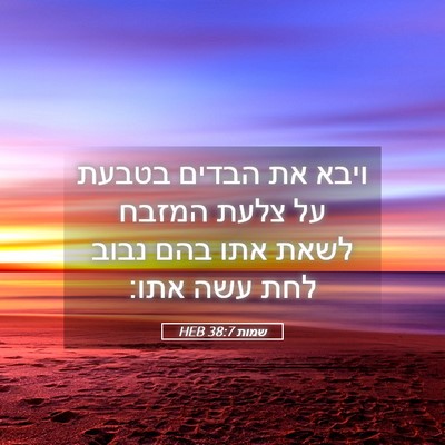 Picture 05 - שמות 38:7 HEB - ויבא את הבדים בטבעת על צלעת - Bible Verse Picture
