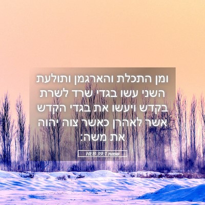 Picture 05 - שמות 39:1 HEB - ומן התכלת והארגמן ותולעת - Bible Verse Picture