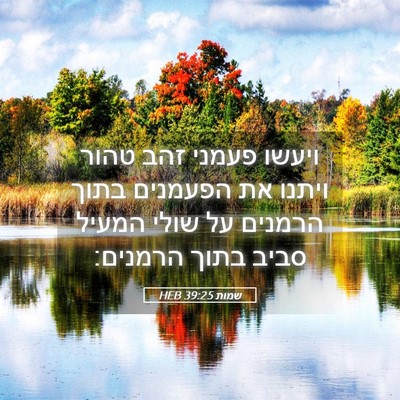 Picture 05 - שמות 39:25 HEB - ויעשו פעמני זהב טהור ויתנו - Bible Verse Picture
