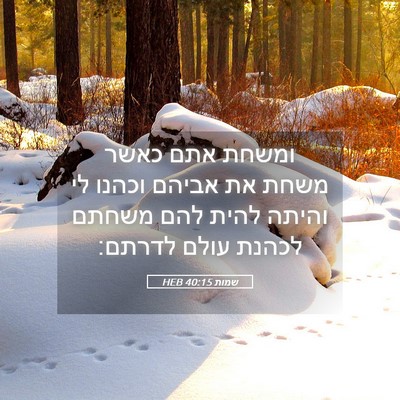 Picture 05 - שמות 40:15 HEB - ומשחת אתם כאשר משחת את - Bible Verse Picture