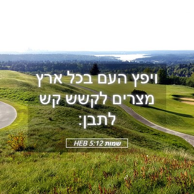 Picture 05 - שמות 5:12 HEB - ויפץ העם בכל ארץ מצרים לקשש - Bible Verse Picture