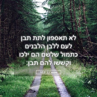 Picture 05 - שמות 5:7 HEB - לא תאספון לתת תבן לעם ללבן - Bible Verse Picture