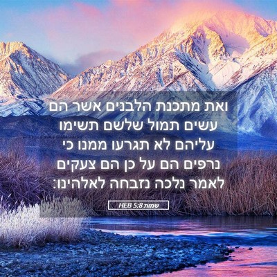Picture 05 - שמות 5:8 HEB - ואת מתכנת הלבנים אשר הם - Bible Verse Picture