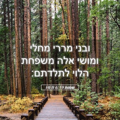 Picture 05 - שמות 6:19 HEB - ובני מררי מחלי ומושי אלה - Bible Verse Picture