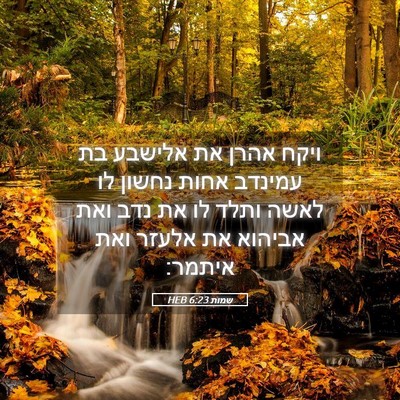 Picture 05 - שמות 6:23 HEB - ויקח אהרן את אלישבע בת - Bible Verse Picture