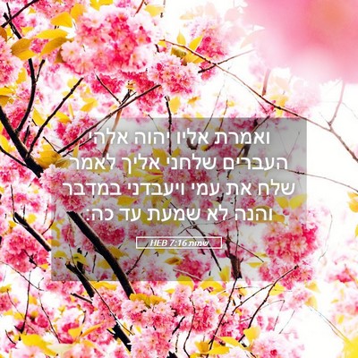 Picture 05 - שמות 7:16 HEB - ואמרת אליו יהוה אלהי - Bible Verse Picture