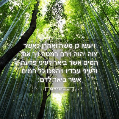 Picture 05 - שמות 7:20 HEB - ויעשו כן משה ואהרן כאשר צוה - Bible Verse Picture