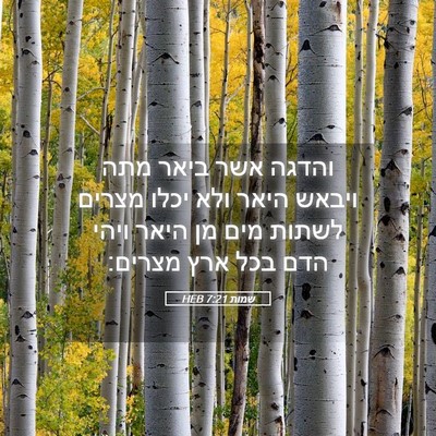 Picture 05 - שמות 7:21 HEB - והדגה אשר ביאר מתה ויבאש - Bible Verse Picture