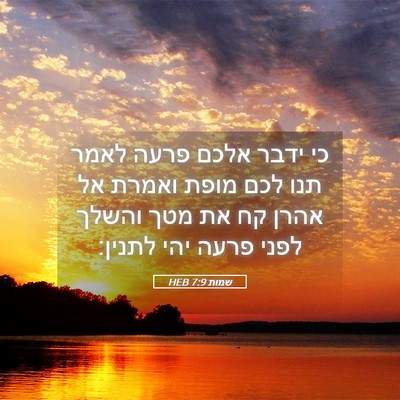 Picture 05 - שמות 7:9 HEB - כי ידבר אלכם פרעה לאמר תנו - Bible Verse Picture