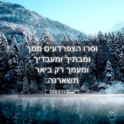 Picture 05 - שמות 8:11 HEB - וסרו הצפרדעים ממך ומבתיך - Bible Verse Picture