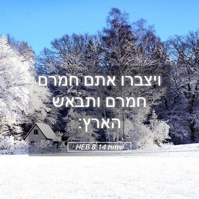 Picture 05 - שמות 8:14 HEB - ויצברו אתם חמרם חמרם ותבאש - Bible Verse Picture