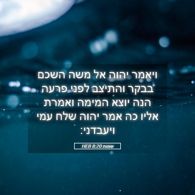 Picture 05 - שמות 8:20 HEB - ויאמר יהוה אל משה השכם בבקר - Bible Verse Picture