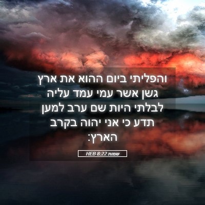 Picture 05 - שמות 8:22 HEB - והפליתי ביום ההוא את ארץ - Bible Verse Picture