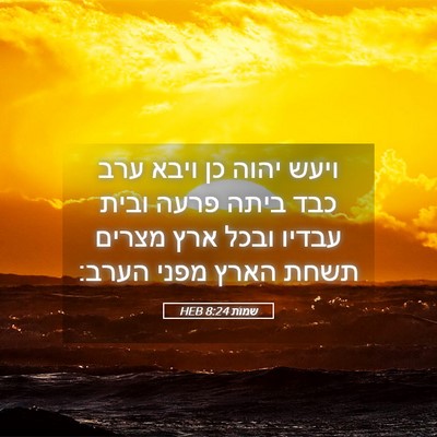 Picture 05 - שמות 8:24 HEB - ויעש יהוה כן ויבא ערב כבד - Bible Verse Picture