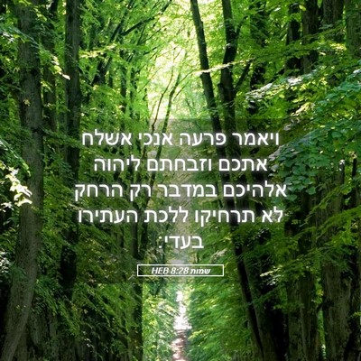 Picture 05 - שמות 8:28 HEB - ויאמר פרעה אנכי אשלח אתכם - Bible Verse Picture