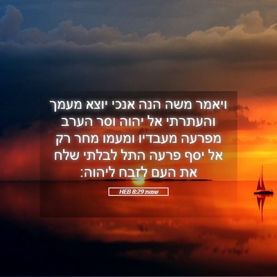Picture 05 - שמות 8:29 HEB - ויאמר משה הנה אנכי יוצא - Bible Verse Picture