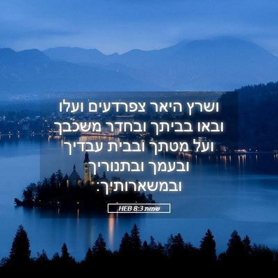 Picture 05 - שמות 8:3 HEB - ושרץ היאר צפרדעים ועלו - Bible Verse Picture