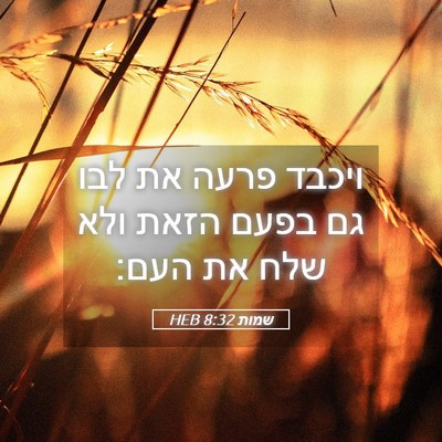 Picture 05 - שמות 8:32 HEB - ויכבד פרעה את לבו גם בפעם - Bible Verse Picture
