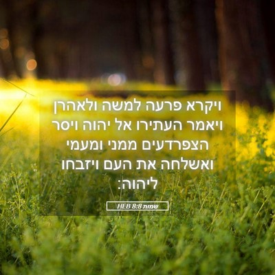 Picture 05 - שמות 8:8 HEB - ויקרא פרעה למשה ולאהרן - Bible Verse Picture