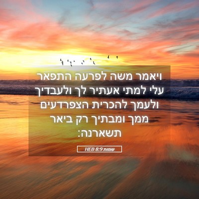 Picture 05 - שמות 8:9 HEB - ויאמר משה לפרעה התפאר עלי - Bible Verse Picture