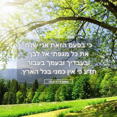 Picture 05 - שמות 9:14 HEB - כי בפעם הזאת אני שלח את כל - Bible Verse Picture