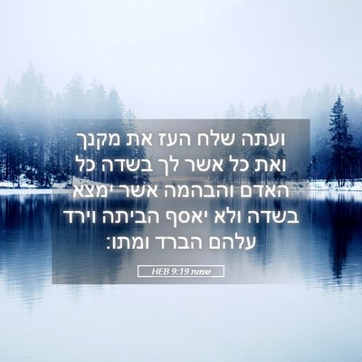 Picture 05 - שמות 9:19 HEB - ועתה שלח העז את מקנך ואת כל - Bible Verse Picture