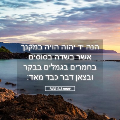 Picture 05 - שמות 9:3 HEB - הנה יד יהוה הויה במקנך אשר - Bible Verse Picture