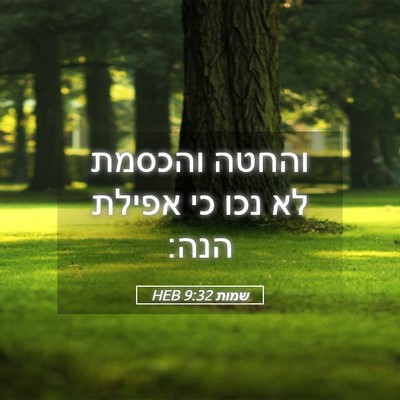 Picture 05 - שמות 9:32 HEB - והחטה והכסמת לא נכו כי - Bible Verse Picture