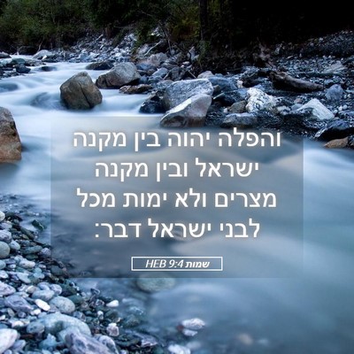 Picture 05 - שמות 9:4 HEB - והפלה יהוה בין מקנה ישראל - Bible Verse Picture