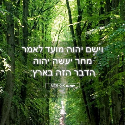 Picture 05 - שמות 9:5 HEB - וישם יהוה מועד לאמר מחר - Bible Verse Picture