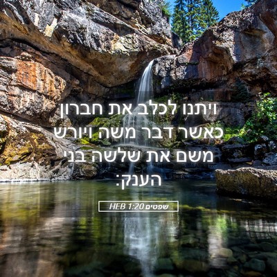 Picture 05 - שפטים 1:20 HEB - ויתנו לכלב את חברון כאשר - Bible Verse Picture