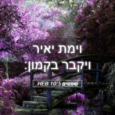 Picture 05 - שפטים 10:5 HEB - וימת יאיר ויקבר - Bible Verse Picture