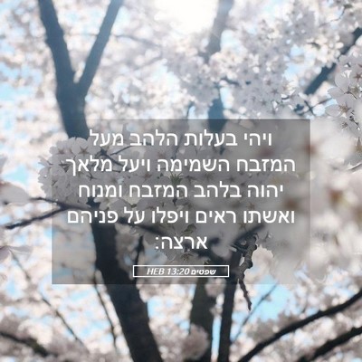 Picture 05 - שפטים 13:20 HEB - ויהי בעלות הלהב מעל המזבח - Bible Verse Picture