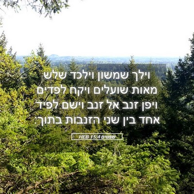 Picture 05 - שפטים 15:4 HEB - וילך שמשון וילכד שלש מאות - Bible Verse Picture