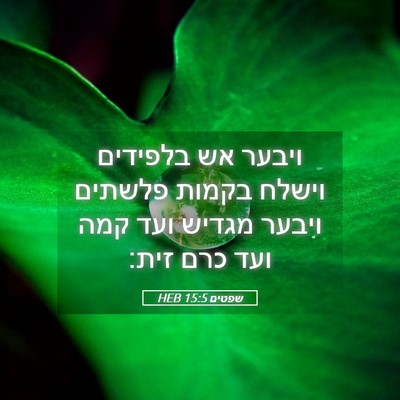 Picture 05 - שפטים 15:5 HEB - ויבער אש בלפידים וישלח - Bible Verse Picture