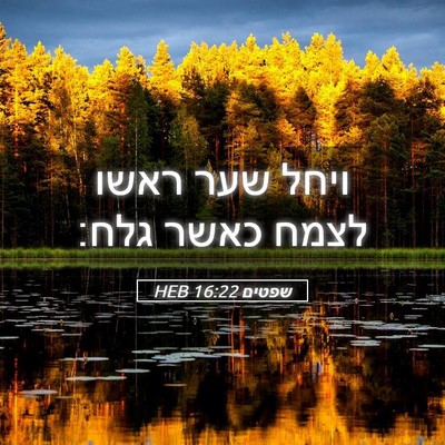 Picture 05 - שפטים 16:22 HEB - ויחל שער ראשו לצמח כאשר - Bible Verse Picture