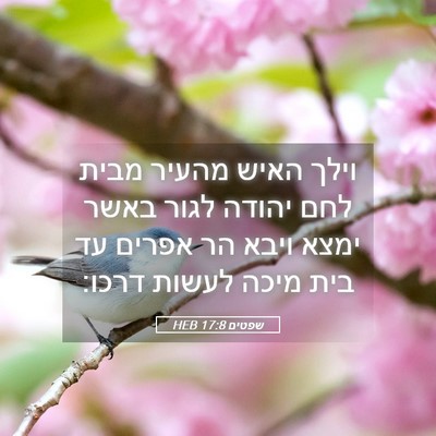 Picture 05 - שפטים 17:8 HEB - וילך האיש מהעיר מבית לחם - Bible Verse Picture