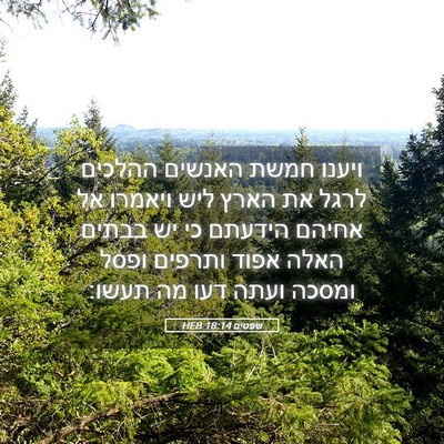 Picture 05 - שפטים 18:14 HEB - ויענו חמשת האנשים ההלכים - Bible Verse Picture