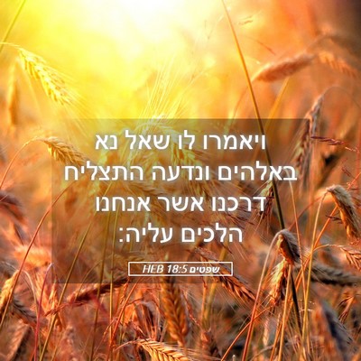 Picture 05 - שפטים 18:5 HEB - ויאמרו לו שאל נא באלהים - Bible Verse Picture