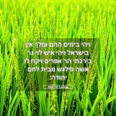 Picture 05 - שפטים 19:1 HEB - ויהי בימים ההם ומלך אין - Bible Verse Picture