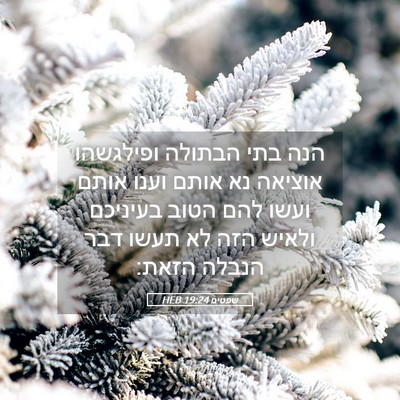 Picture 05 - שפטים 19:24 HEB - הנה בתי הבתולה ופילגשהו - Bible Verse Picture